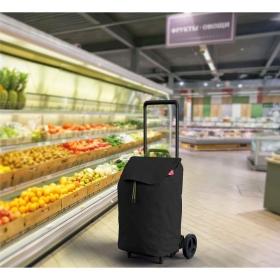 Nákupný vozík na kolieskach, ľahký, vodeodolný, 40 l, Gimi Easy